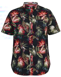 D555 Lennox Hawaiian AOP S/S Button Down Collar Shirt Black